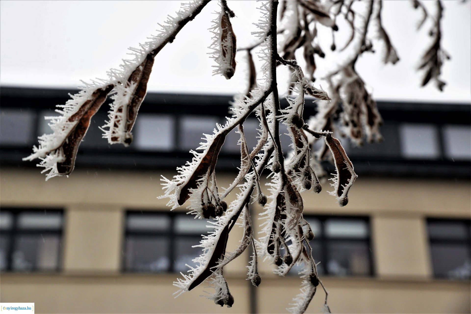 Zúzmarás belvárosunk