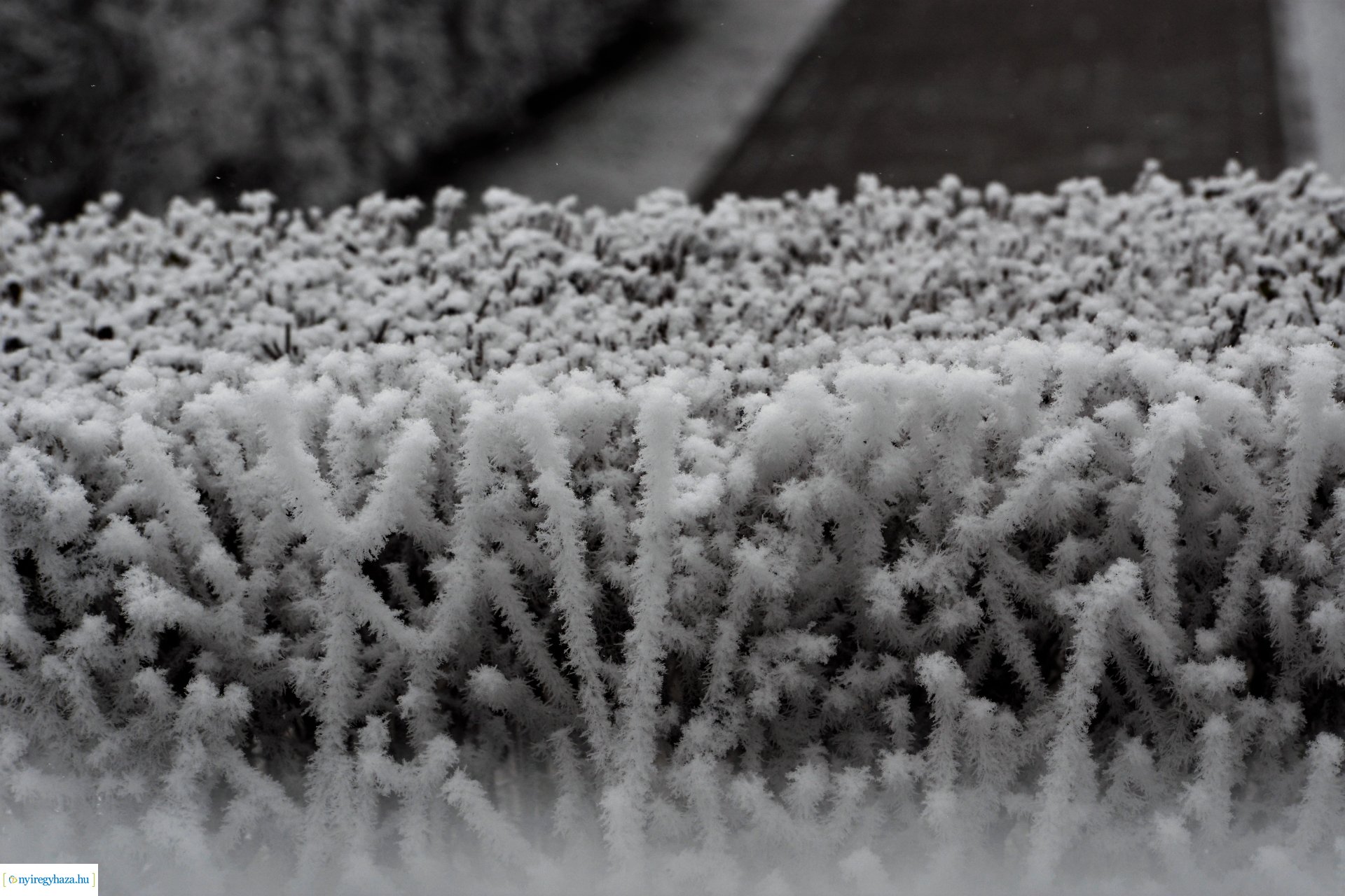 Zúzmarás belvárosunk