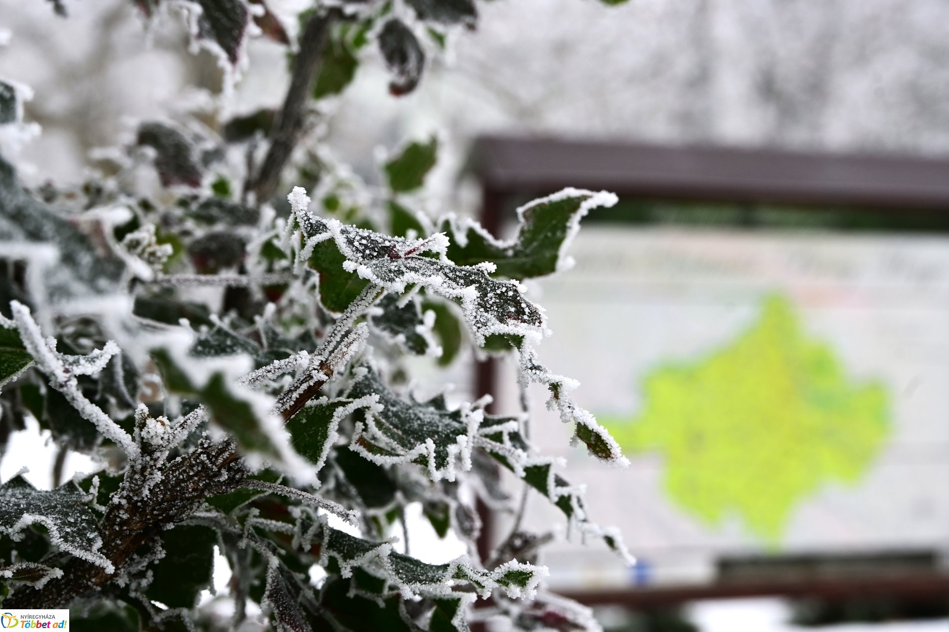 Zúzmarás belvárosunk