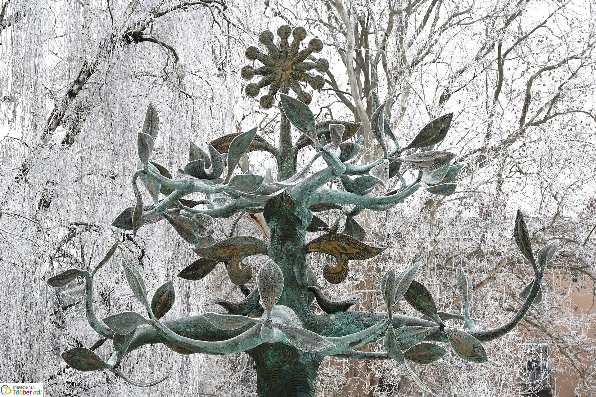 Zúzmarás belvárosunk