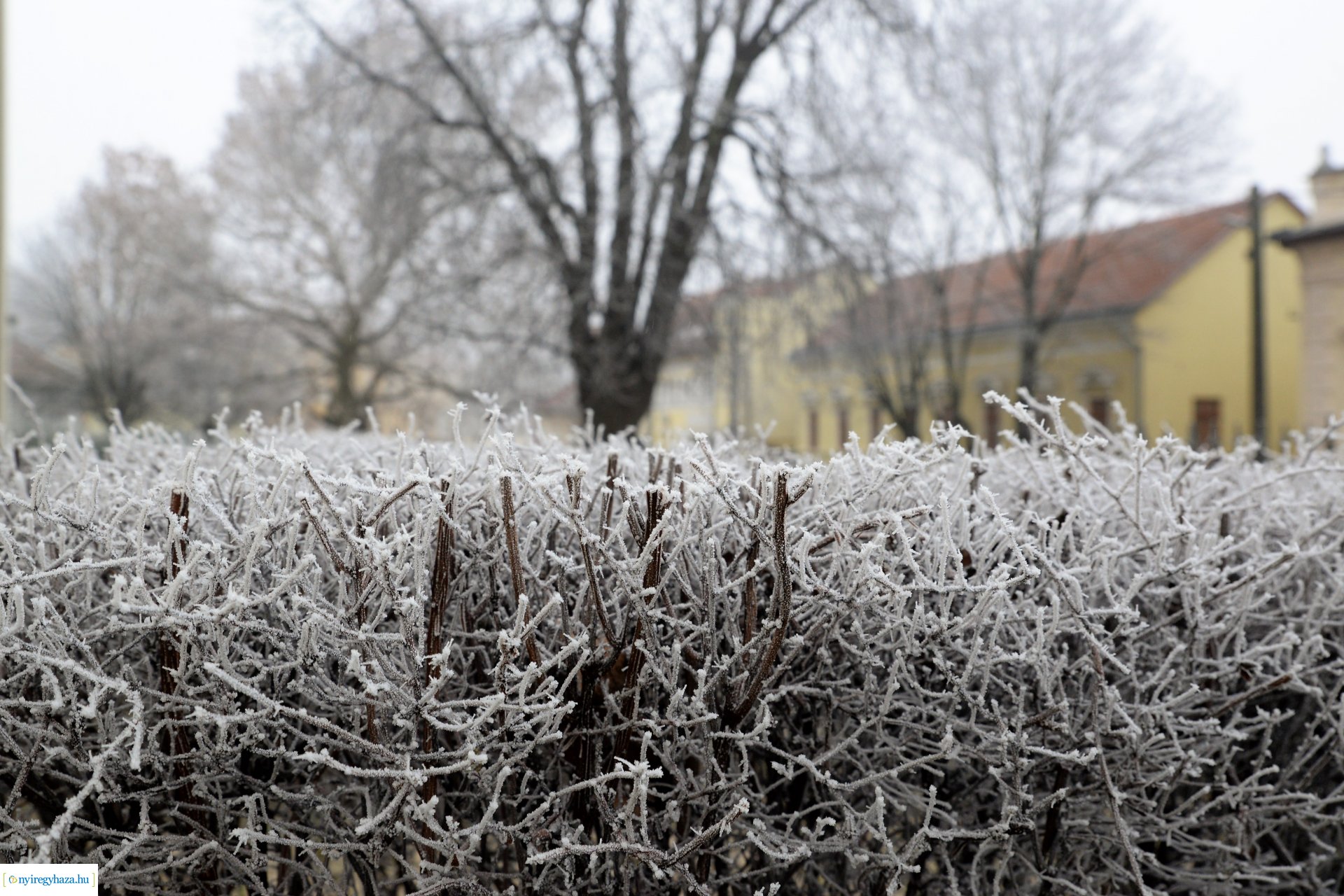 Zúzmarás belvárosunk