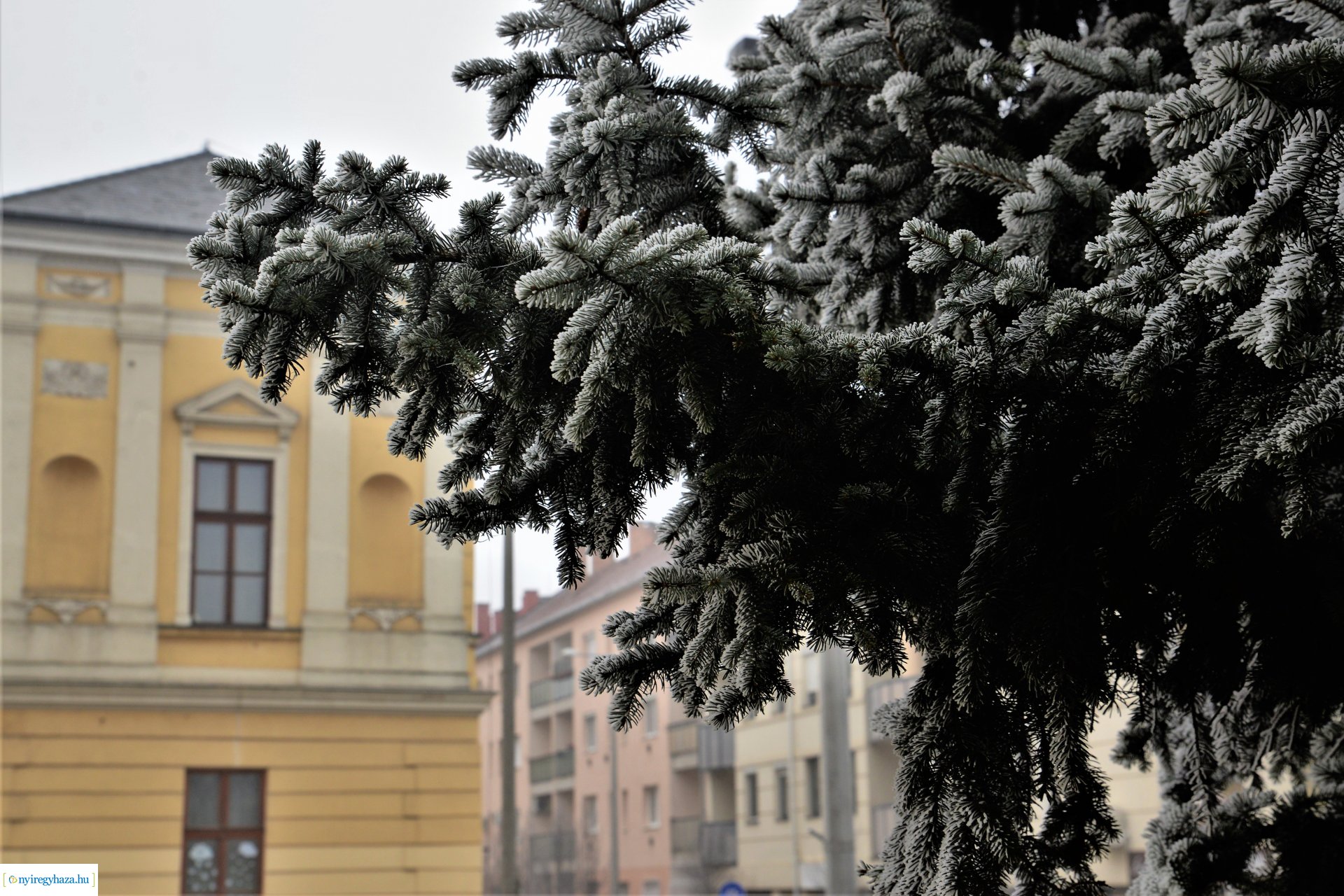 Zúzmarás belvárosunk