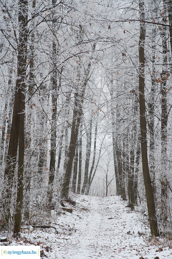 Zúzmarás csendélet 20210116