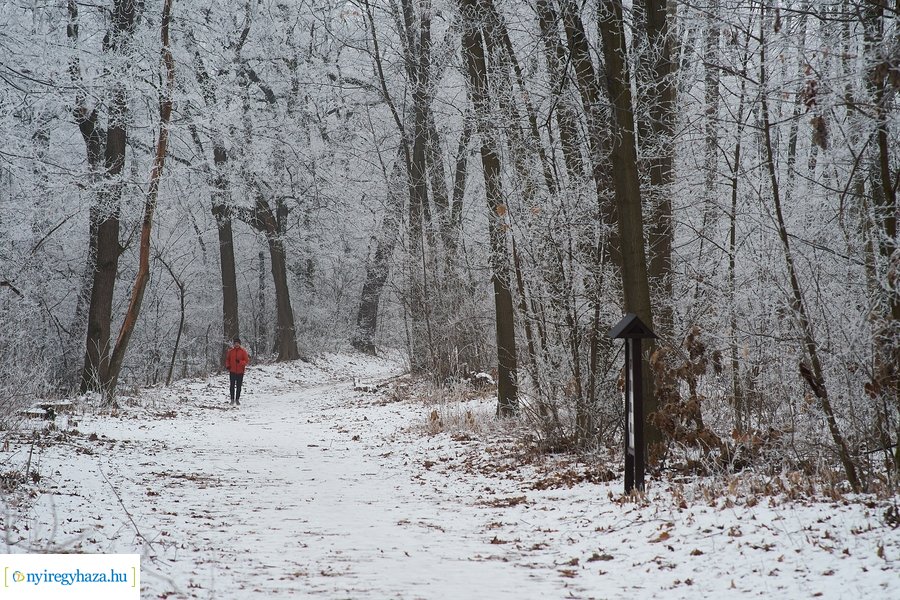 Zúzmarás csendélet 20210116