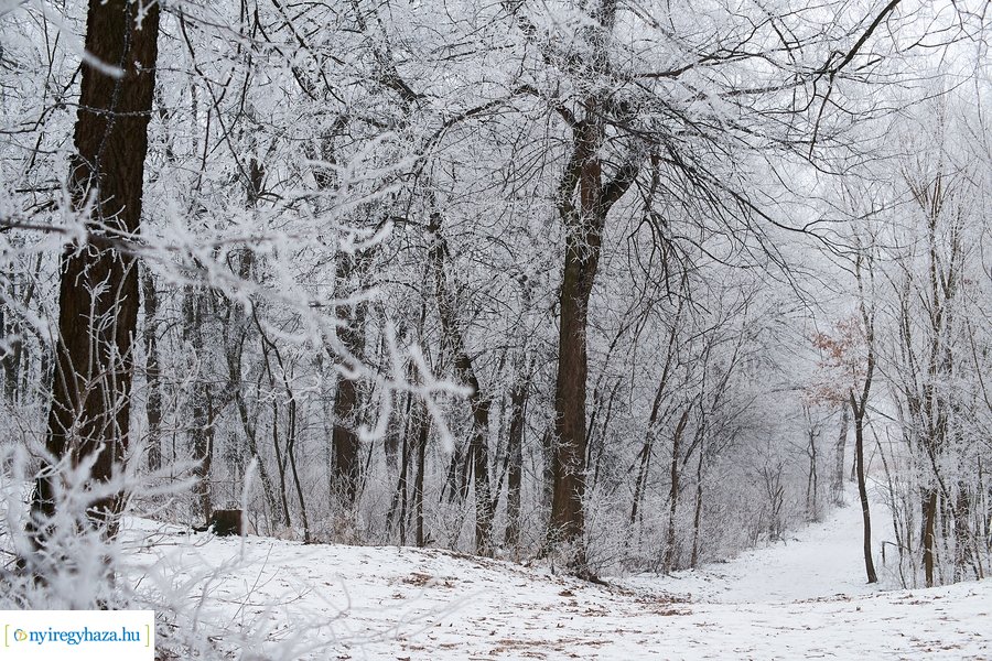 Zúzmarás csendélet 20210116