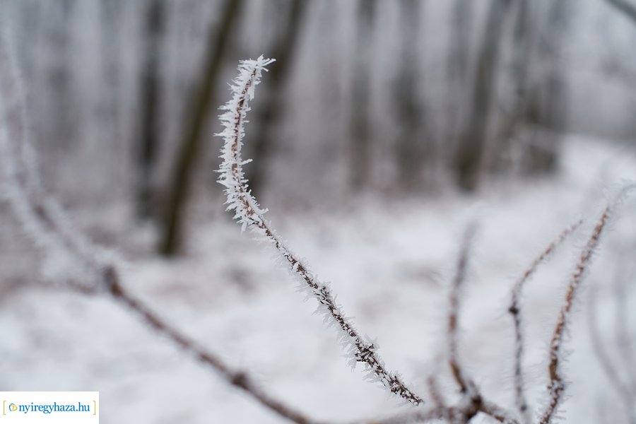 Zúzmarás csendélet 20210116