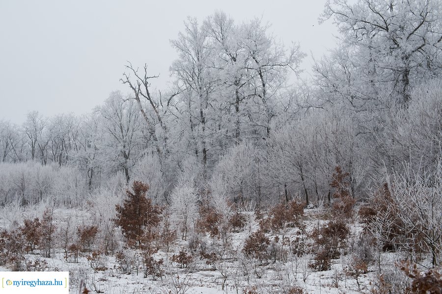 Zúzmarás csendélet 20210116