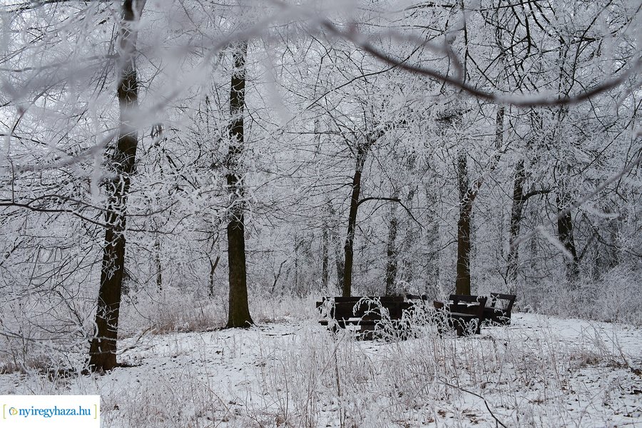 Zúzmarás csendélet 20210116