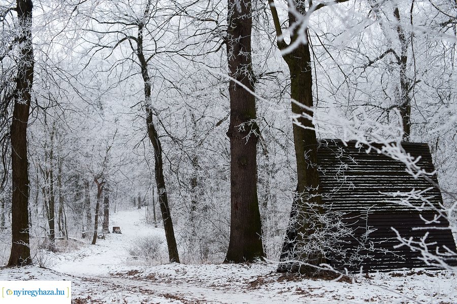 Zúzmarás csendélet 20210116