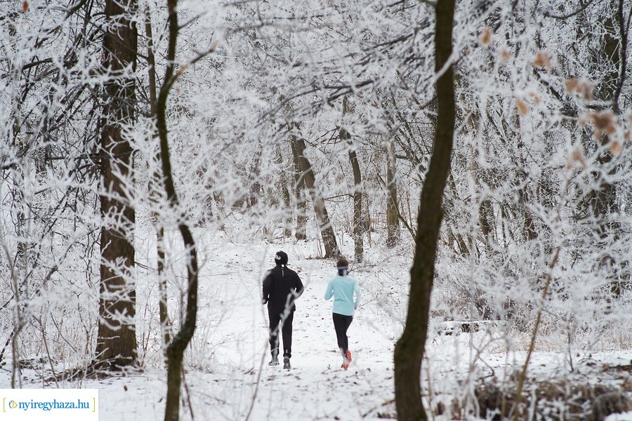 Zúzmarás csendélet 20210116