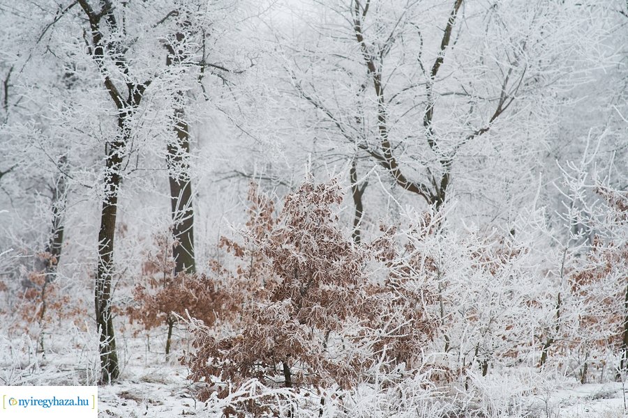 Zúzmarás csendélet 20210116