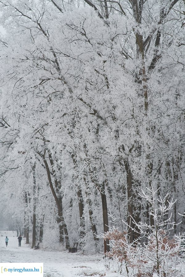 Zúzmarás csendélet 20210116