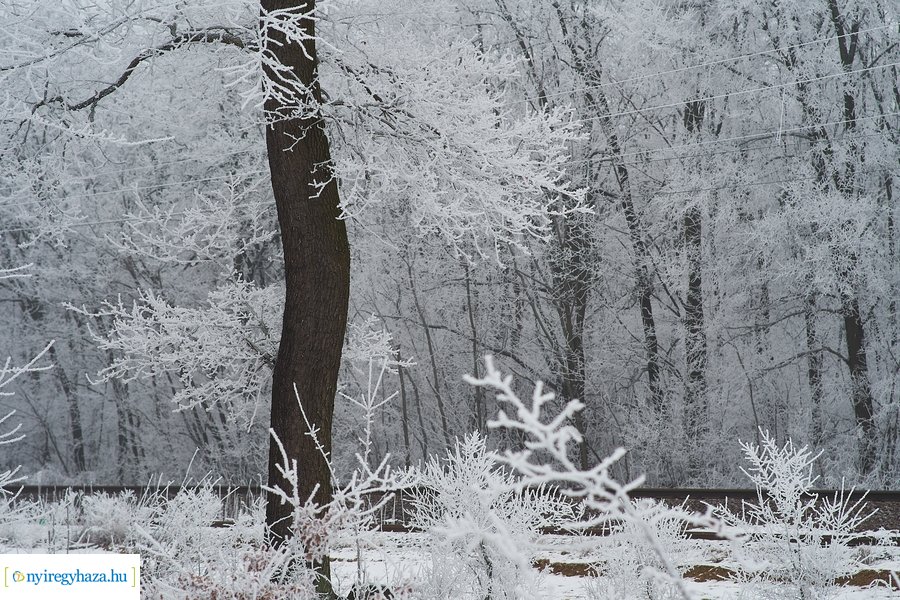 Zúzmarás csendélet 20210116