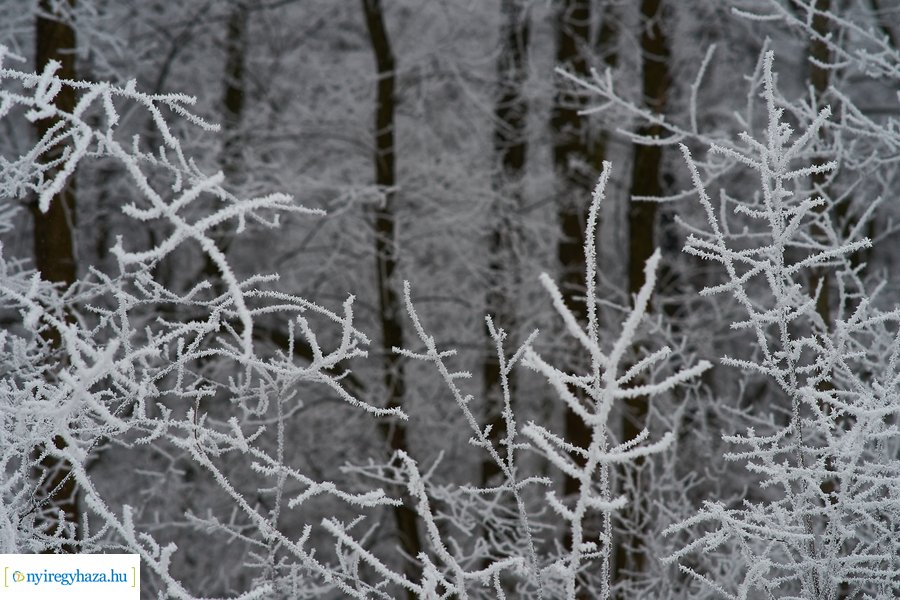 Zúzmarás csendélet 20210116