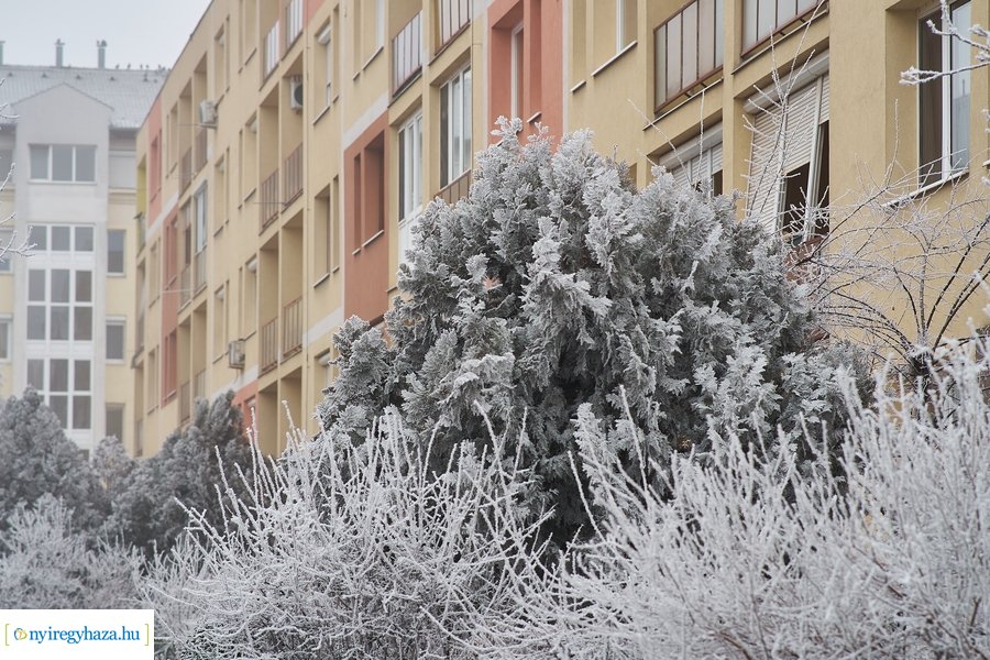 Zúzmarás csendélet 20210116