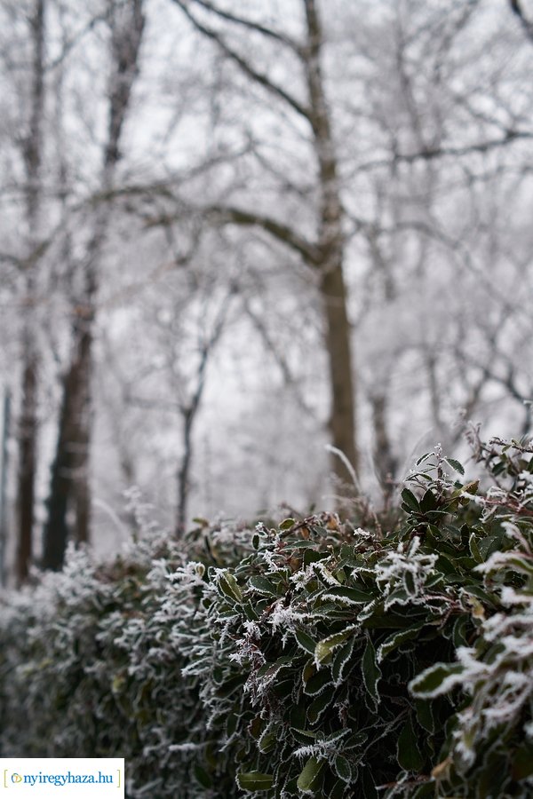 Zúzmarás csendélet 20210116