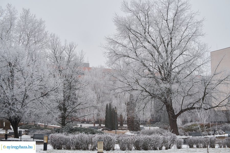 Zúzmarás csendélet 20210116