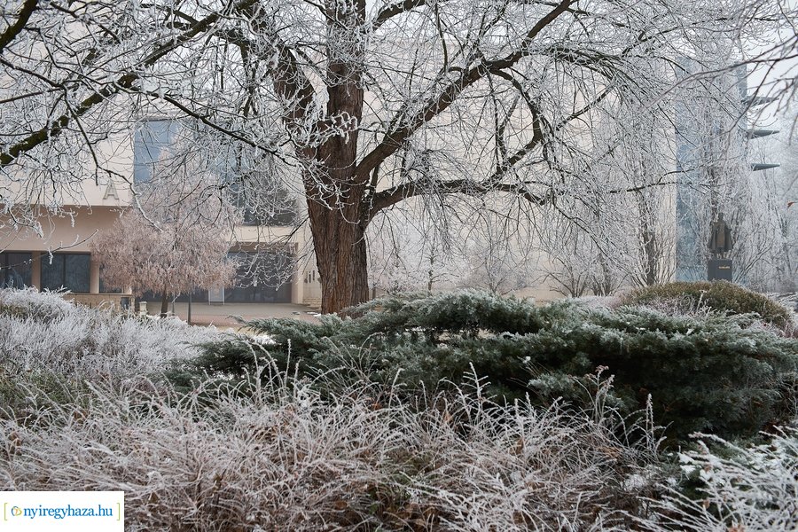 Zúzmarás csendélet 20210116