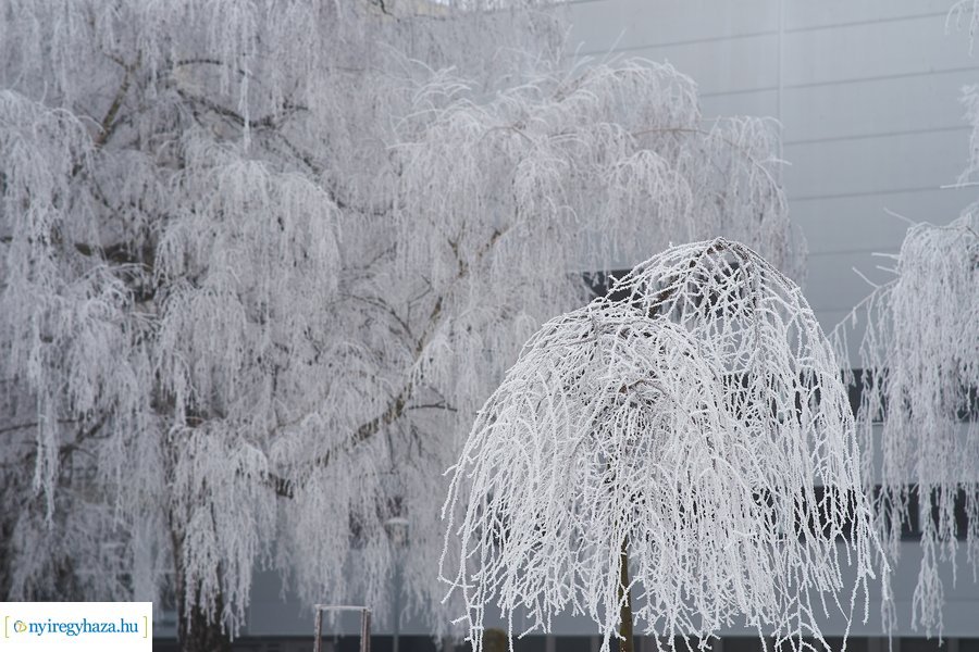 Zúzmarás csendélet 20210116