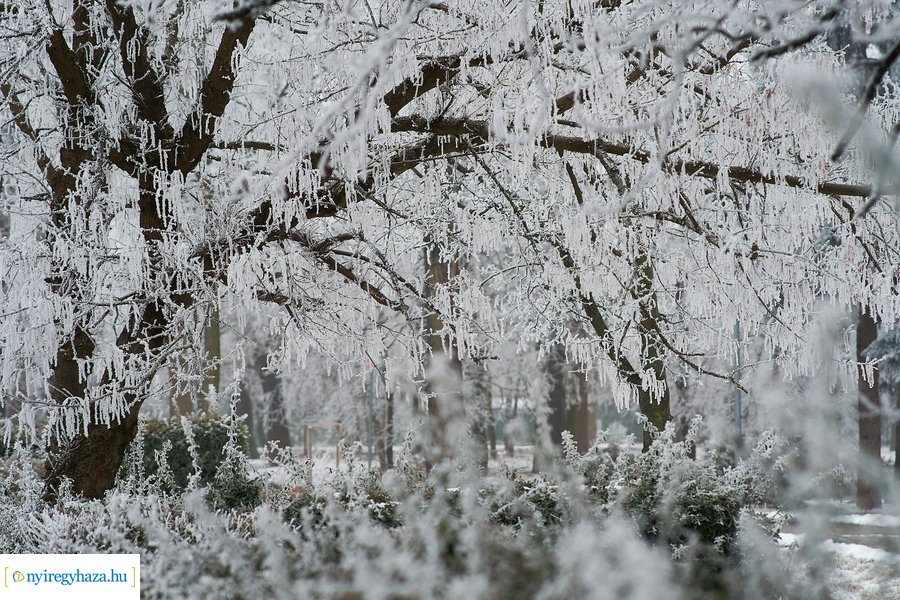 Zúzmarás csendélet 20210116