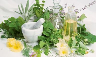 Mindent a gyógynövényekről II. - Megkérdezem a gyógyszerészem...