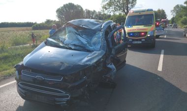 A darázs volt a hibás