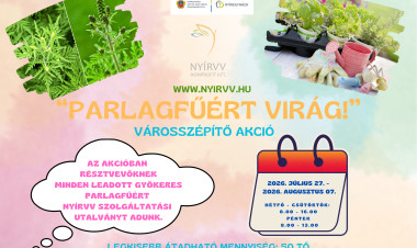 „Parlagfűért virág!” – Ismét elindul a városszépítő akció