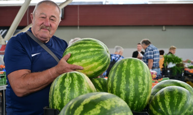 Körkép – Nagy a dinnye- és barackválaszték a Búza téri piacon