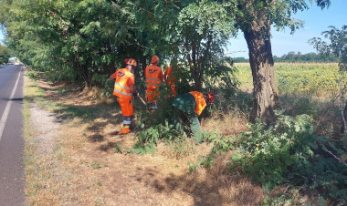 Favágási munkák miatt korlátozások a 36-os főúton