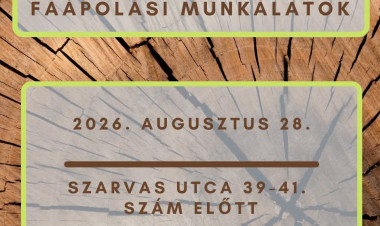 Faápolási munkálatokat végeznek a Szarvas utcán