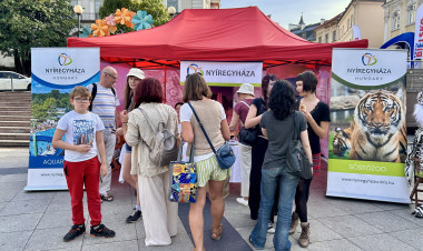 Fehér tigris, magyar ízek és nyíregyházi élmények Bielsko-Bialában