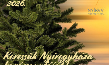 Már keresik Nyíregyháza karácsonyfáját – Idén akár az Ön fenyője is díszítheti a Kossuth teret