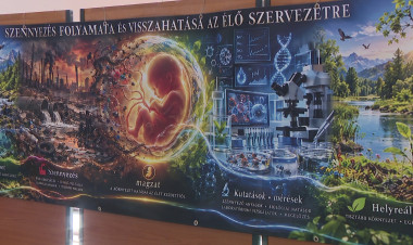 Jövőnk a tét – Klímavédelmi kiállítás a Nyíregyházi Egyetemen