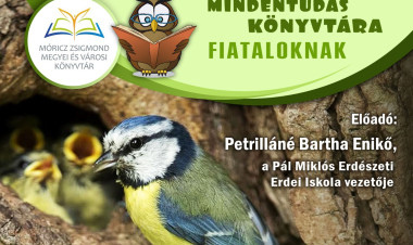Madarak a közelünkben – izgalmas előadás várja a fiatalokat Nyíregyházán