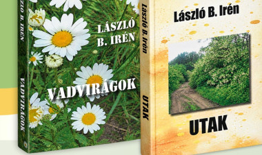 Két verseskötet, egy költői világ – László B. Irén könyvbemutatója Nyíregyházán