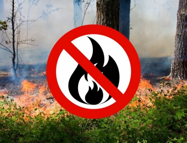 Az egész országban tűzgyújtási tilalom van érvényben, fokozott a tűzveszély!