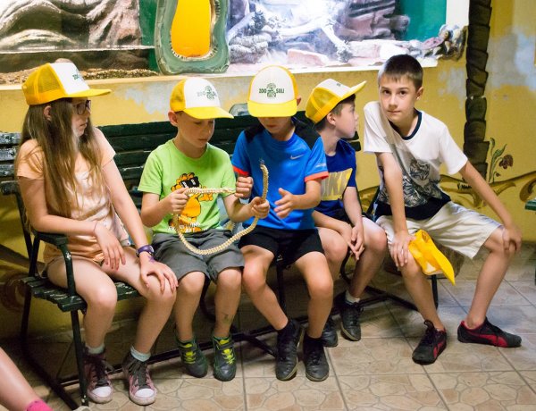 Május 2-től lehet jelentkezni a Nyíregyházi Állatpark nyári táborába – Részletek itt!