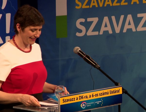 Európai Egyesült Államokat képzel el és szeretne megvalósítani a Demokratikus Koalíció