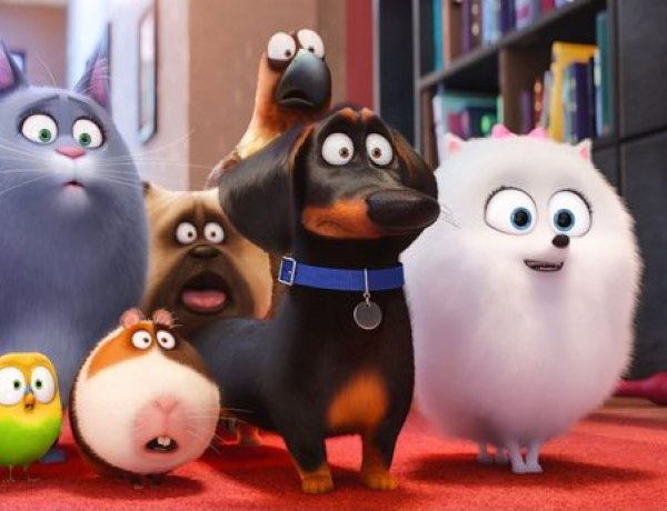 Krúdy Gyula Art Mozi - Megyénk egyetlen művész mozijának júliusi filmkínálata