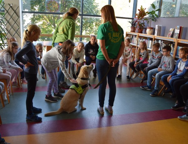 Segítőkutyák a könyvtárban – Különleges bemutatót tartottak az Állatok Világnapján
