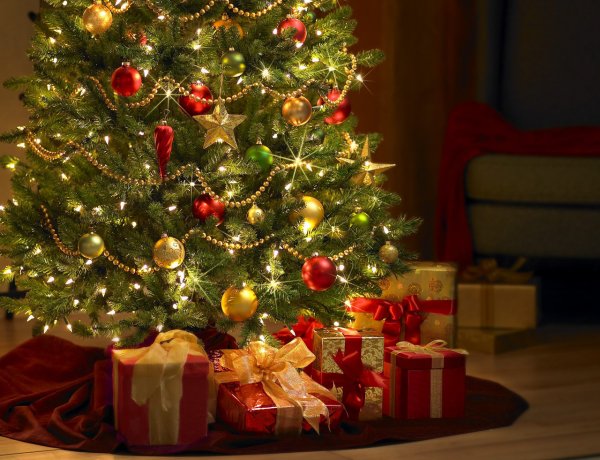 Varázslatos Karácsony  -  kiállítás a városháza dísztermében