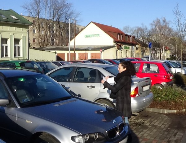 Itt vágnak fákat pénteken a NYÍRVV szakemberei – Az ott élők türelmét kérik!