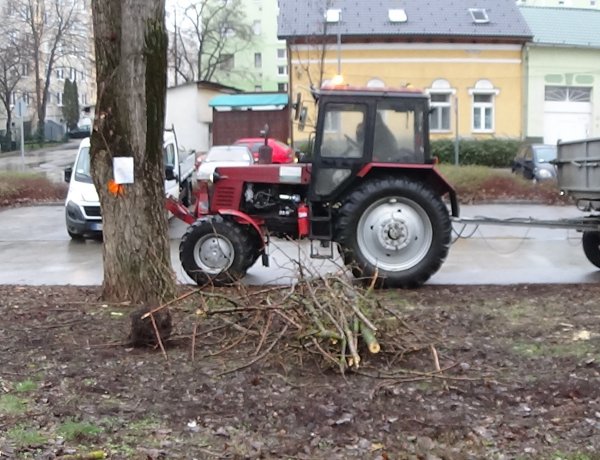 Elmaradt a Toldi utcai favágás, a munkálatokat több gépjármű is akadályozta
