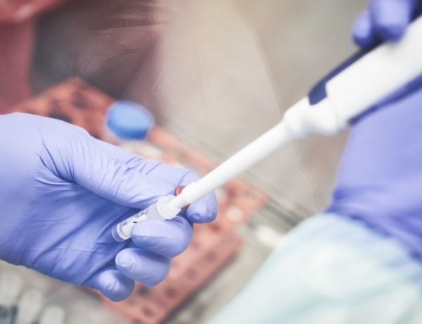 Nincs értelme Magyarország teljes lakosságát szűrni a WHO szerint
