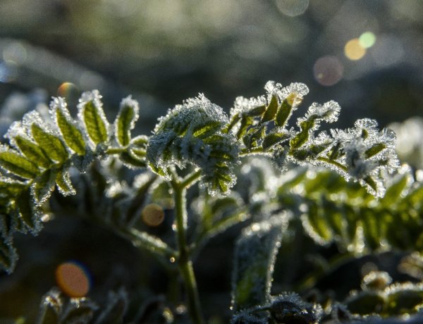 Télies idő lesz a következő napokban, havazásra és mínuszokra kell készülni