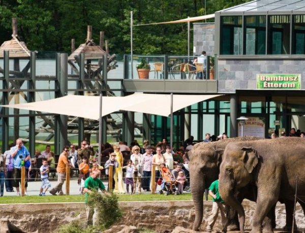 Várja a látogatókat a Nyíregyházi Állatpark – Készül az India-ház