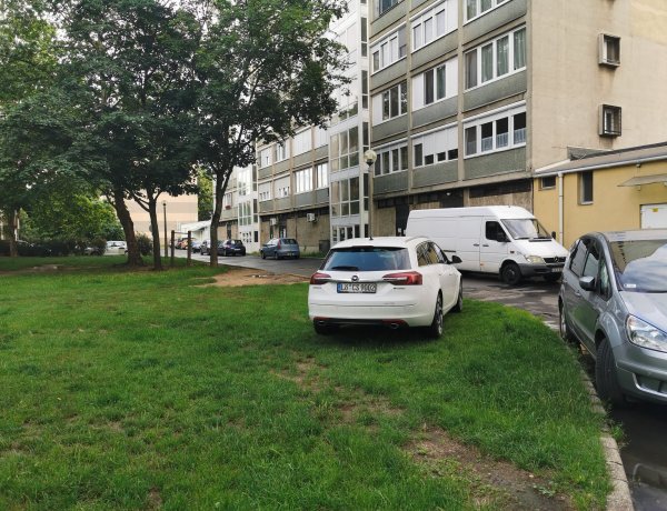 A park nem parkoló - Több helyen is tilosban állnak meg az autókkal a tulajdonosok