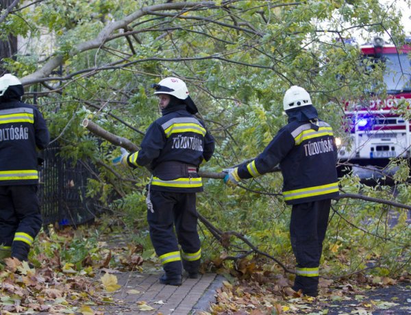 Rengeteg a viharkár – Jó tanácsok a Katasztrófavédelemtől   