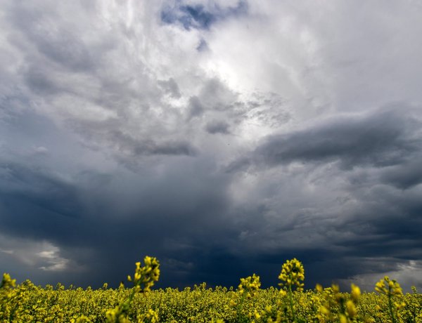 Országos Meteorológiai Szolgálat: őszies reggel után tér vissza a nyári meleg