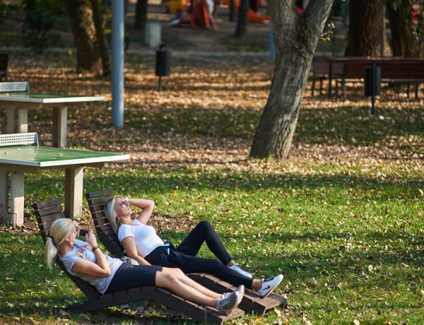 Dávid-naptár: télies lesz az idei ősz - Nem lesz fehér a karácsony